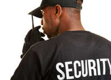 Our Services